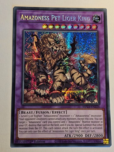 Amazzoness pet liger - pet,