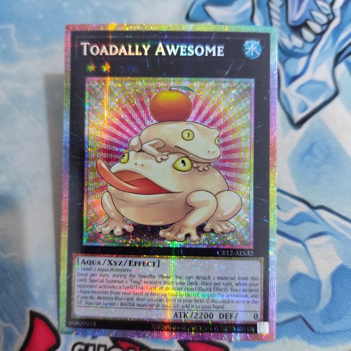Yugioh asiatica inglese rospo - yugioh,