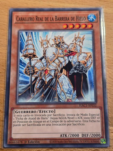 Cavaliere reale della barriera - cavaliere,